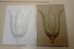 photo_010